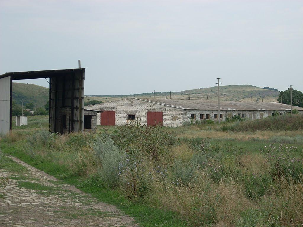 Грибуваха з panoramio.com - Грибуваха