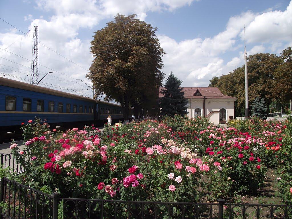 Волноваха з panoramio.com - Волноваха