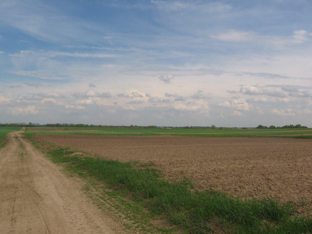 Новоселівка з panoramio.com - Новоселівка