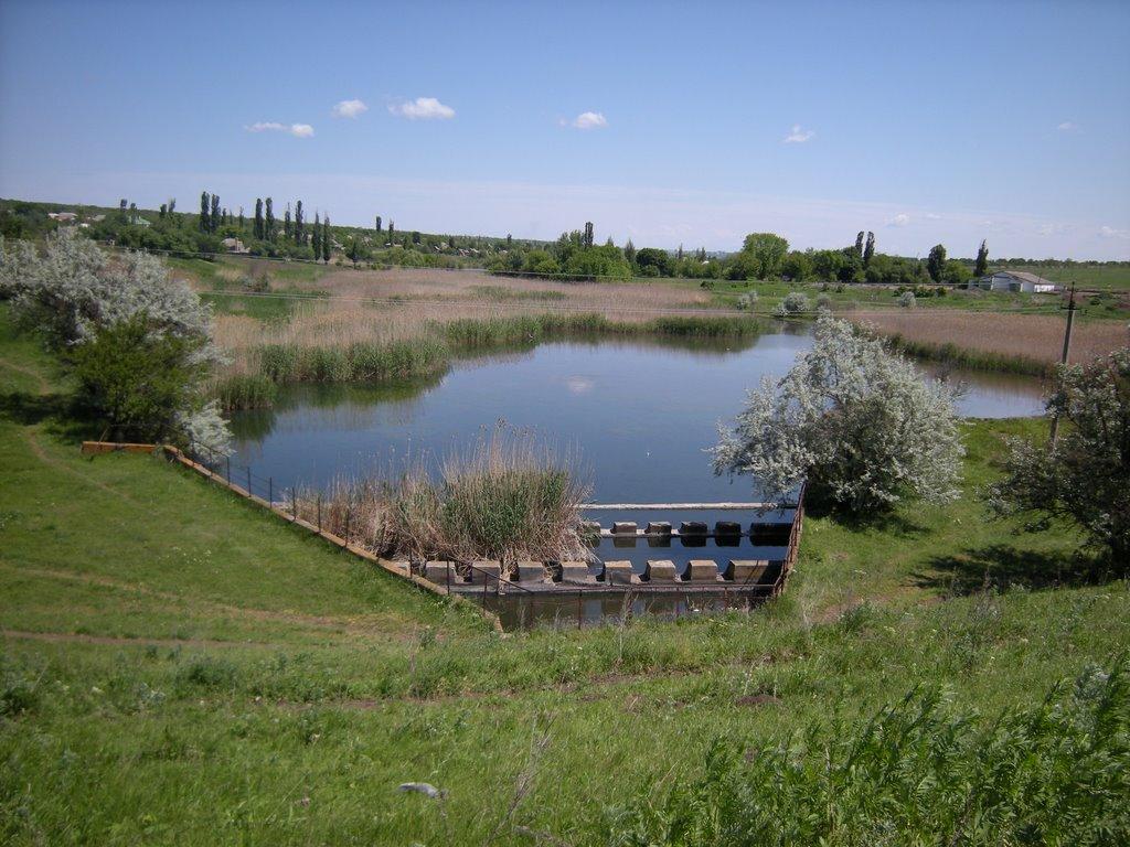 Комишуваха з panoramio.com - Комишуваха