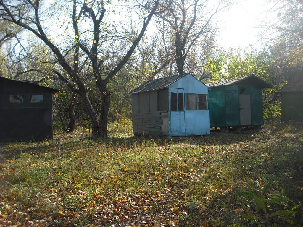 Канівське з panoramio.com - Каневское
