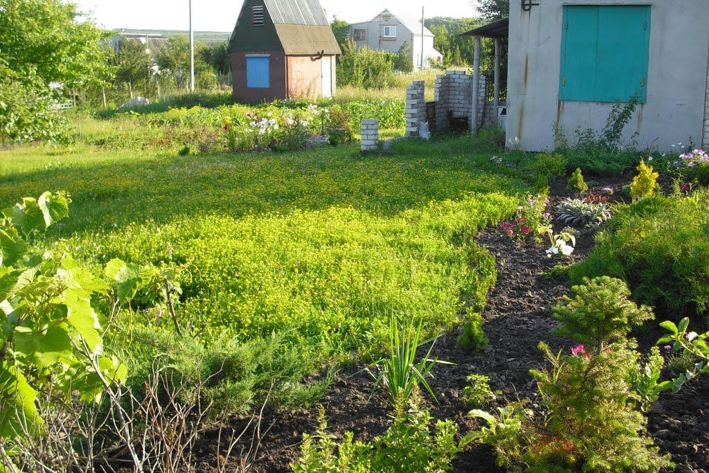Старий Салтів з panoramio.com - Старий Салтів