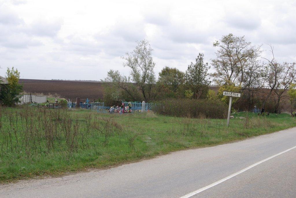 Аркадіївка з panoramio.com - Аркадіївка