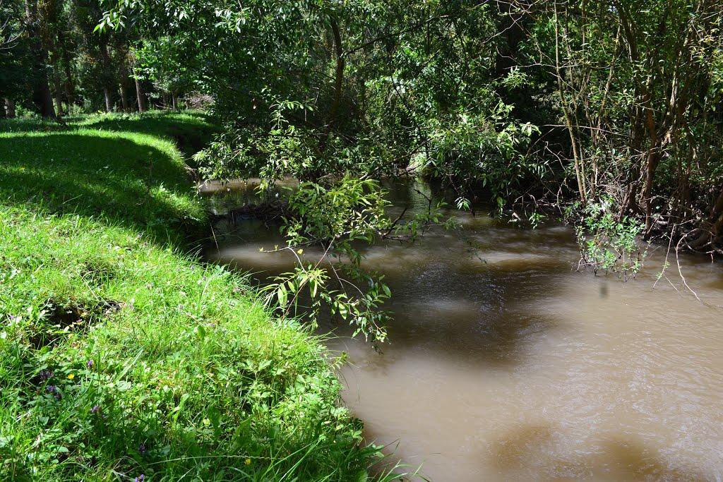 Стіна з panoramio.com - Stina