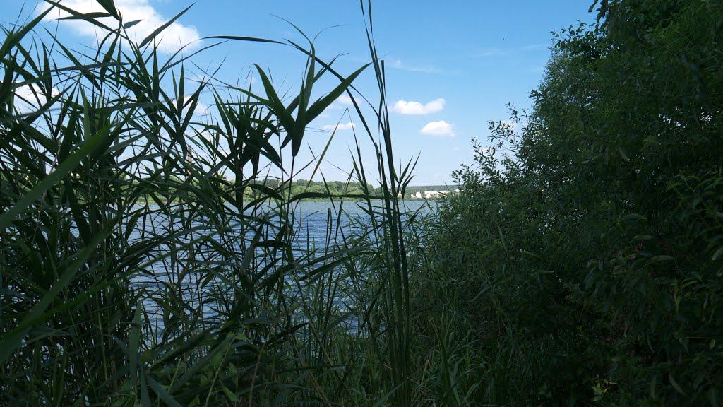 Бершадь з panoramio.com - Бершадь