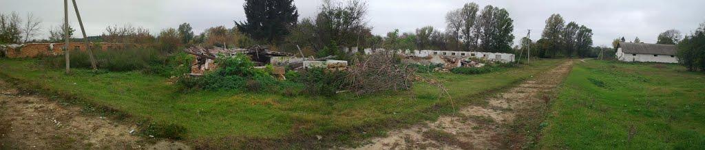 Закружці з panoramio.com - Закружці