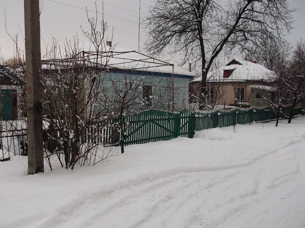 Криве Озеро з panoramio.com - Криве Озеро