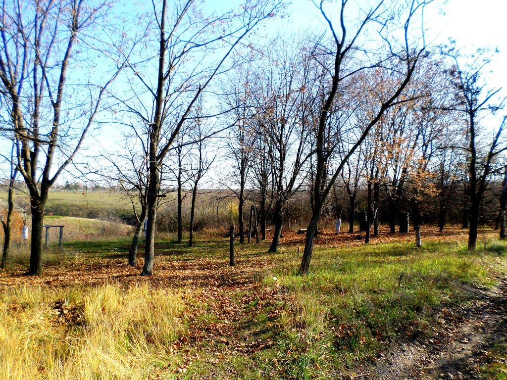 Домаха з panoramio.com - Домаха