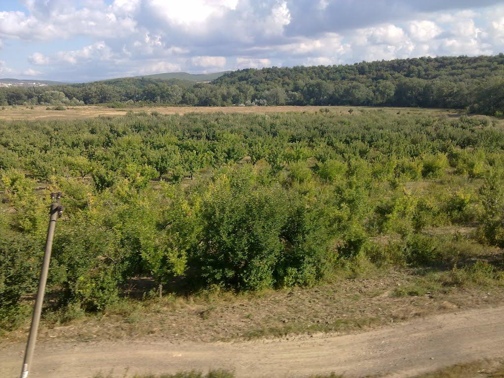 Поштове з panoramio.com - Поштове