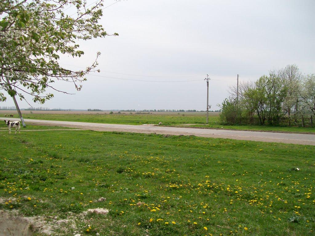Стара Гута з panoramio.com - Стара Гута