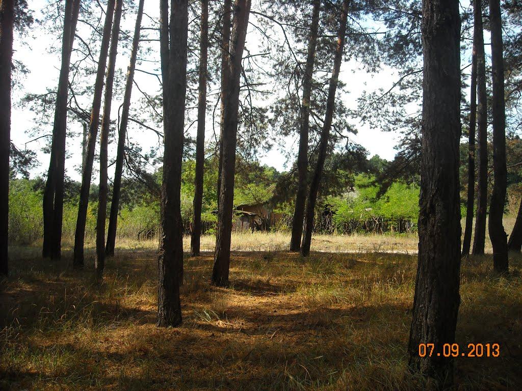 Студенок з panoramio.com - Студенок