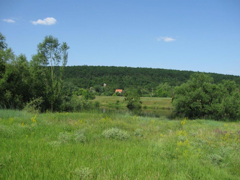 Губник з panoramio.com - Губник