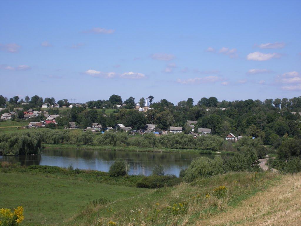 Матвіївці з panoramio.com - Матвеевцы