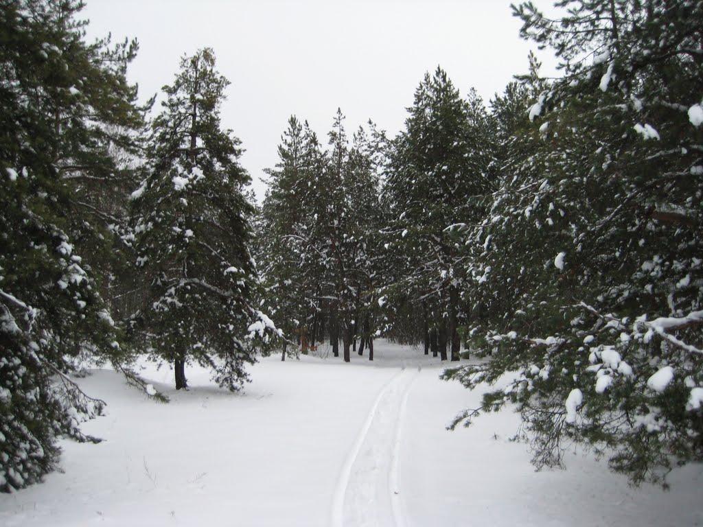 Гути з panoramio.com - Гути