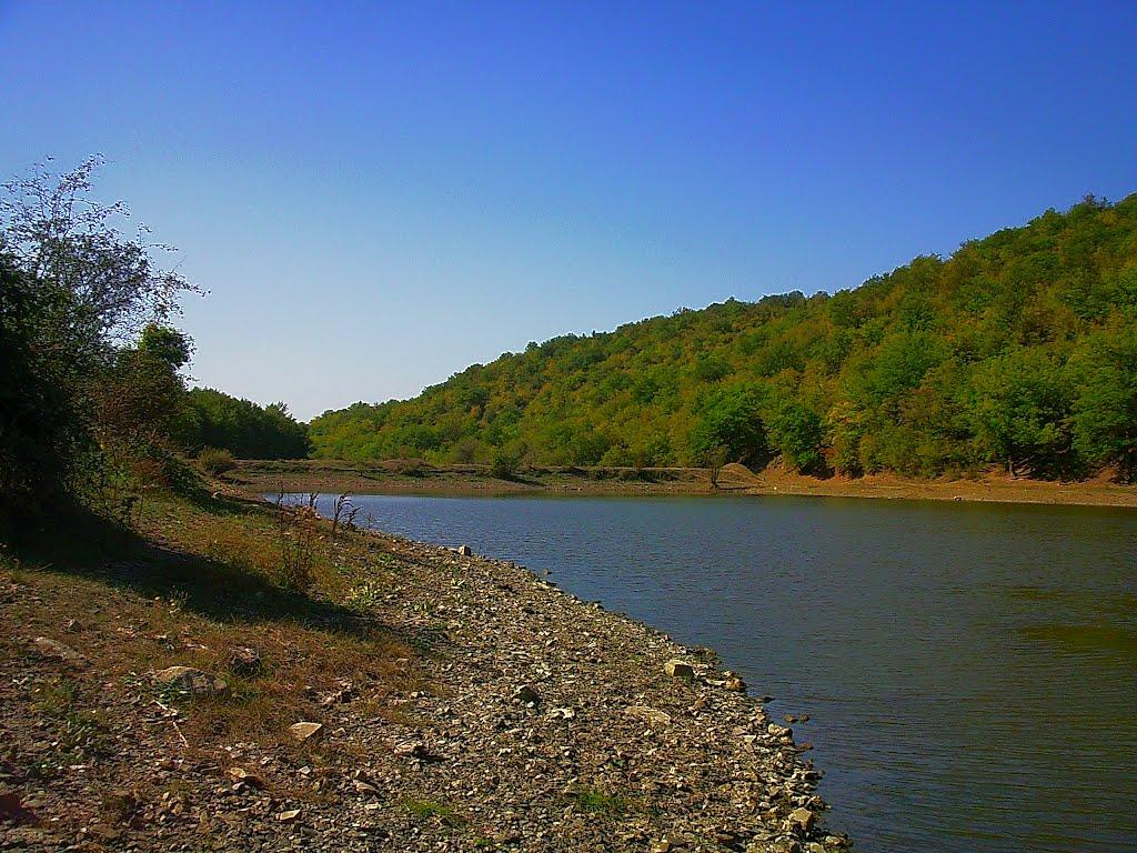 Синапне з panoramio.com - Синапне