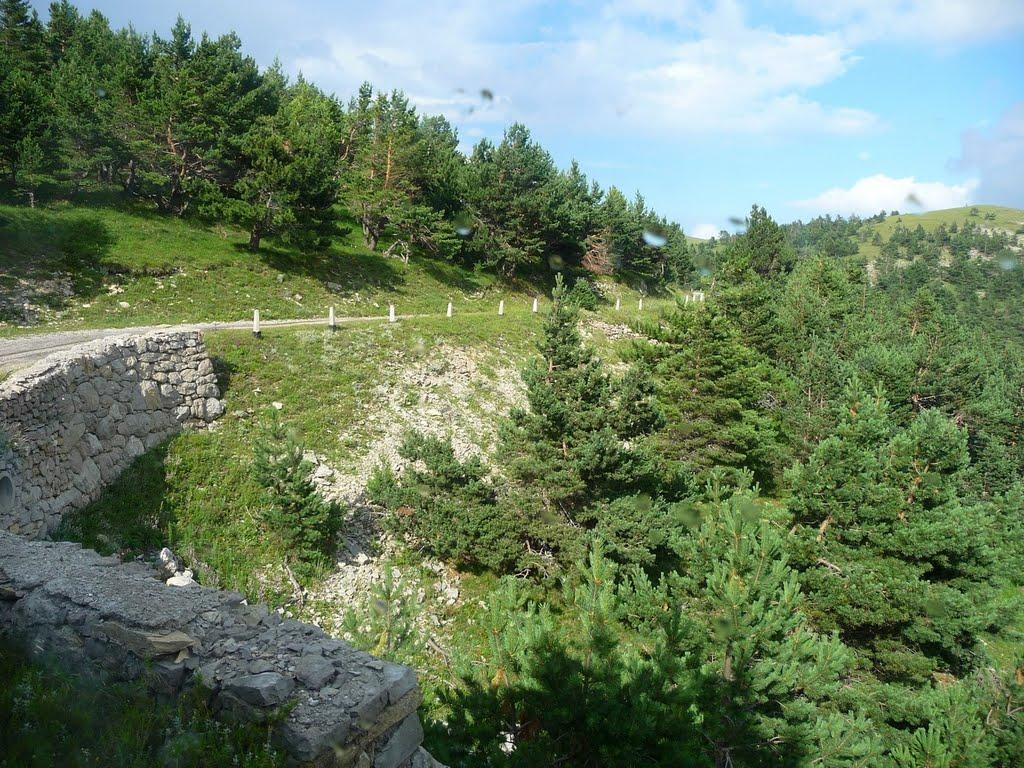 Совєтське з panoramio.com (ч.2) - Советское