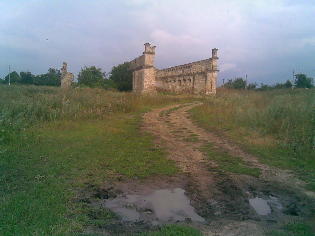 Федосіївка з panoramio.com - Федосіївка