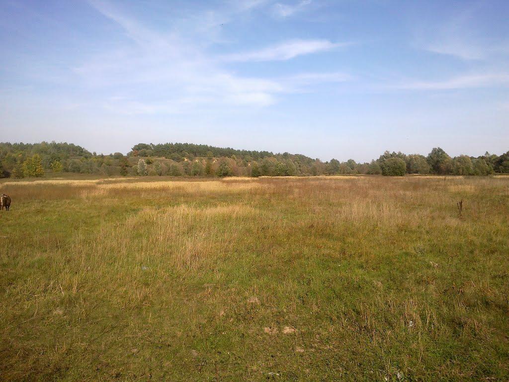 В'язенка з panoramio.com - Вязенка