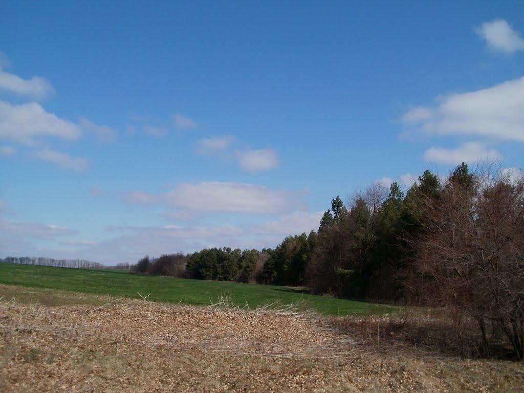 Млинки з panoramio.com - Млынки