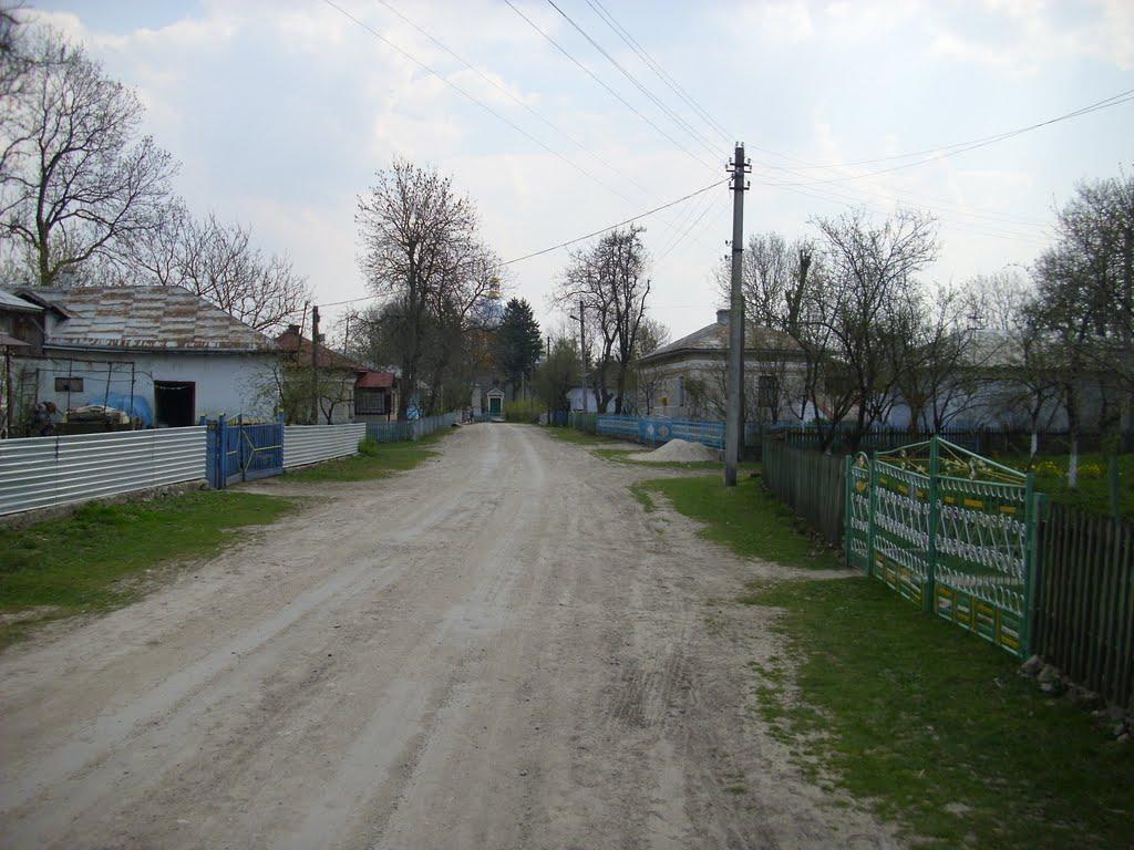 Гнилиці з panoramio.com - Гнилиці