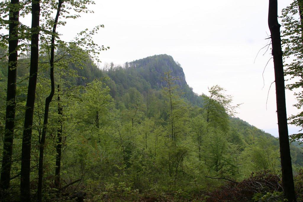 Бедевля з panoramio.com - Бедевля