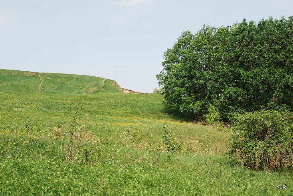 Опішня з panoramio.com - Opishnya