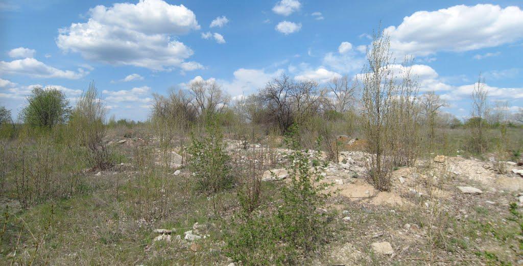 Петрівка з panoramio.com