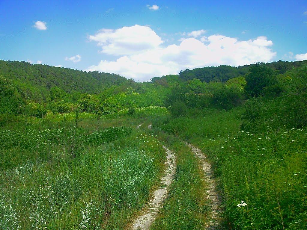 Багата Ущелина з panoramio.com - Багатое Ущелье