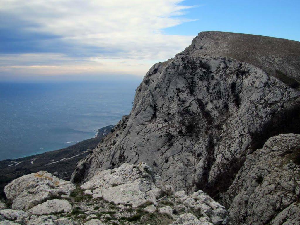 Олива з panoramio.com - Olyva