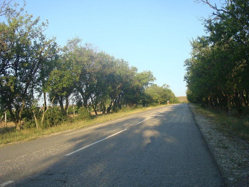 Багатівка з panoramio.com - Богатовка