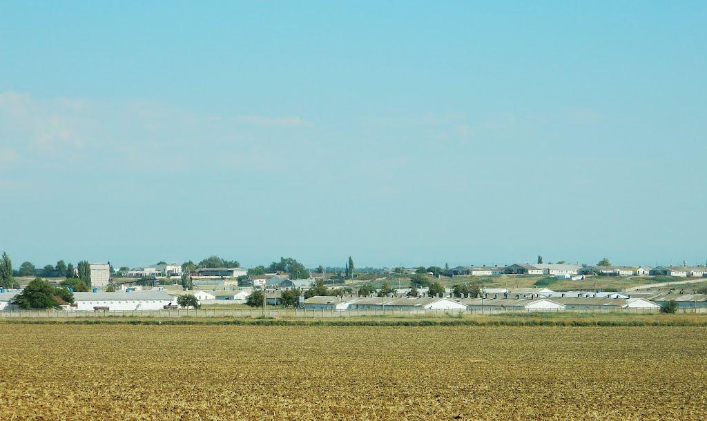 Фрунзе з panoramio.com - Фрунзе