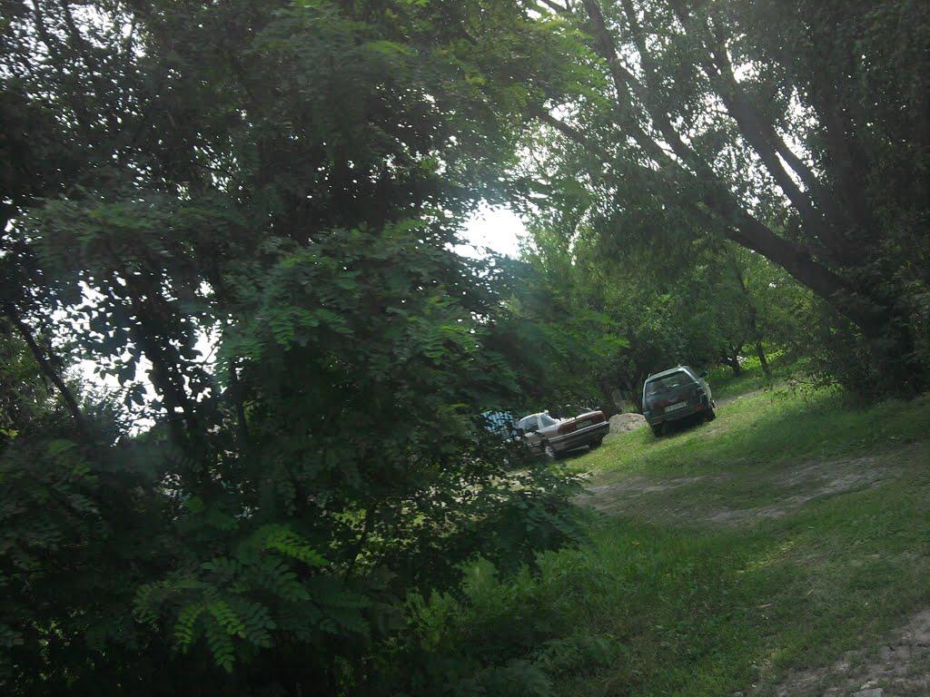 Березанка з panoramio.com - Березанка