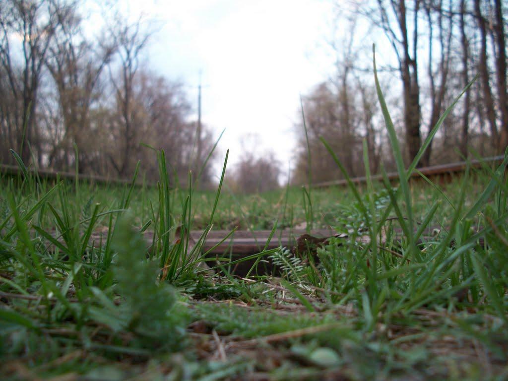 Глеюватка з panoramio.com - Глееватка