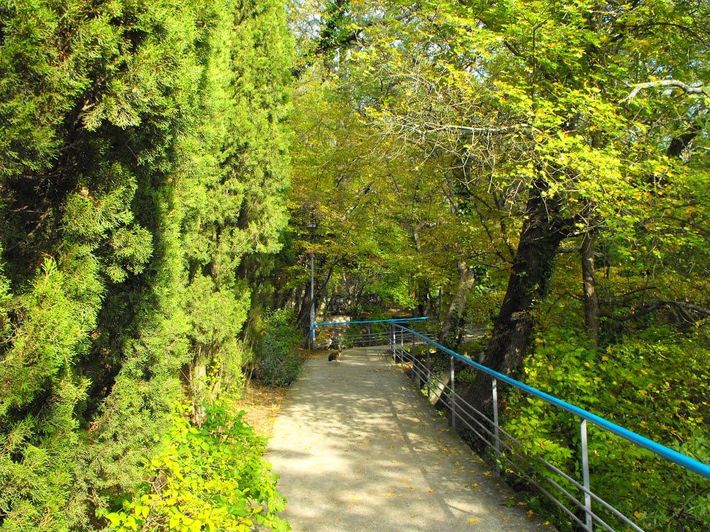 Курпати з panoramio.com - Курпати