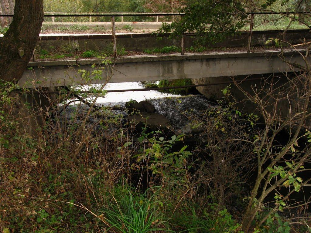 Поріччя з panoramio.com - Поріччя