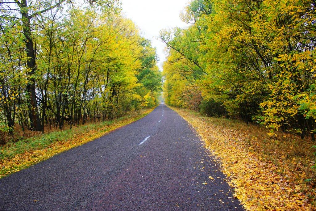 Стримівщина з panoramio.com - Стримівщина