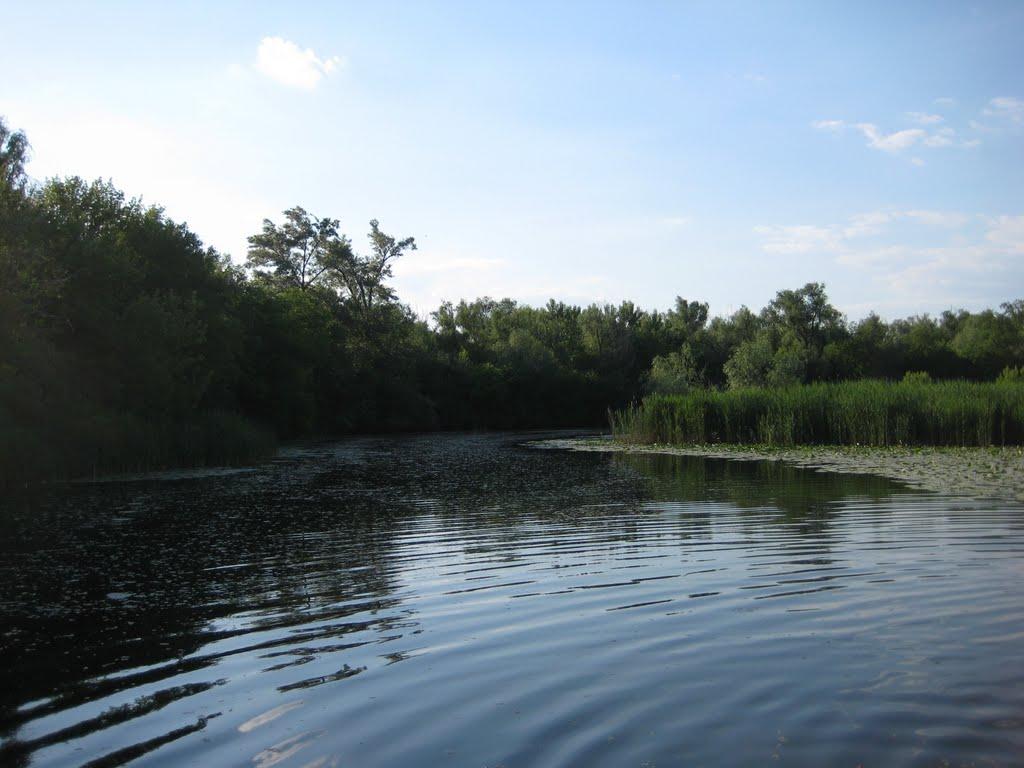 Кринки з panoramio.com - Кринки