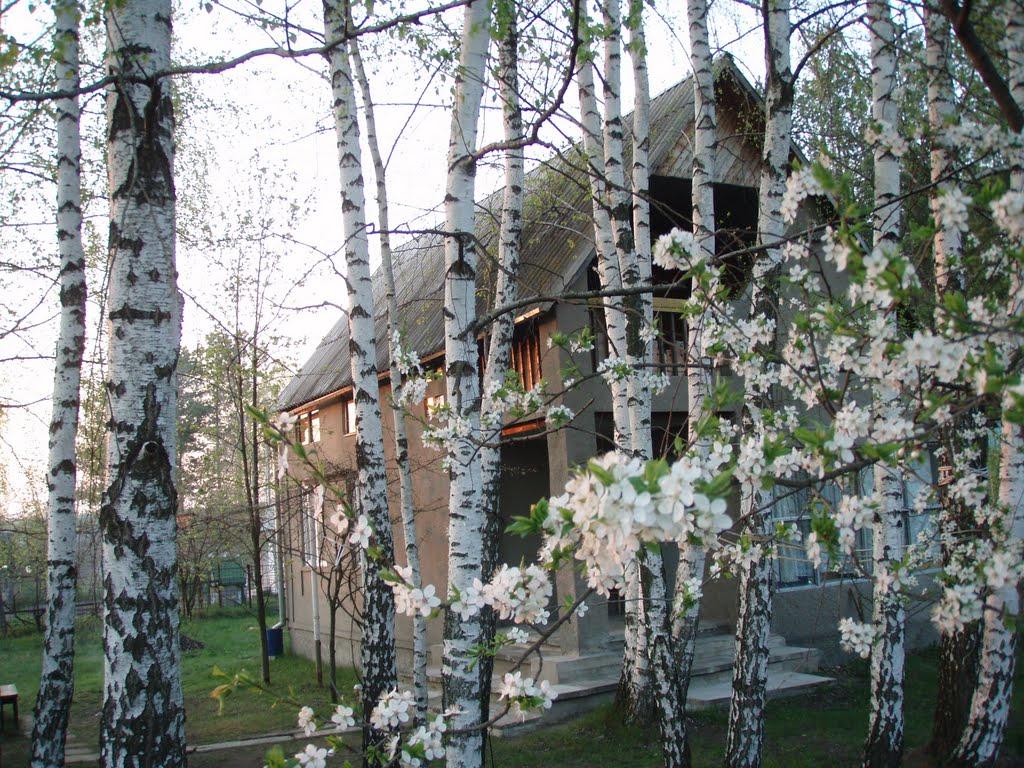 Пилиповичі з panoramio.com - Пилиповичі