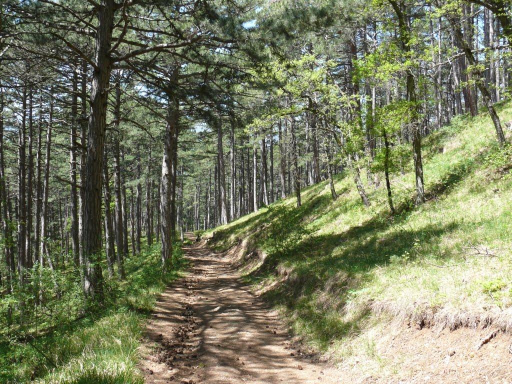 Совєтське з panoramio.com (ч.2) - Советское