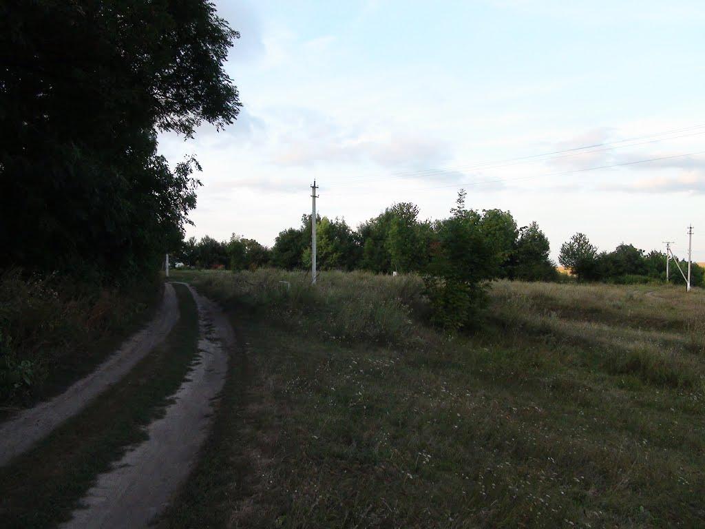 Люлинці з panoramio.com - Люлинцы