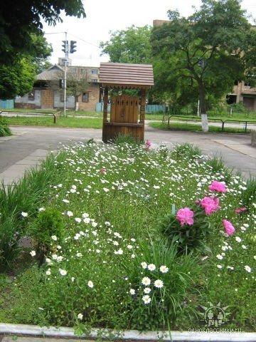 Лисянка з panoramio.com - Лысянка