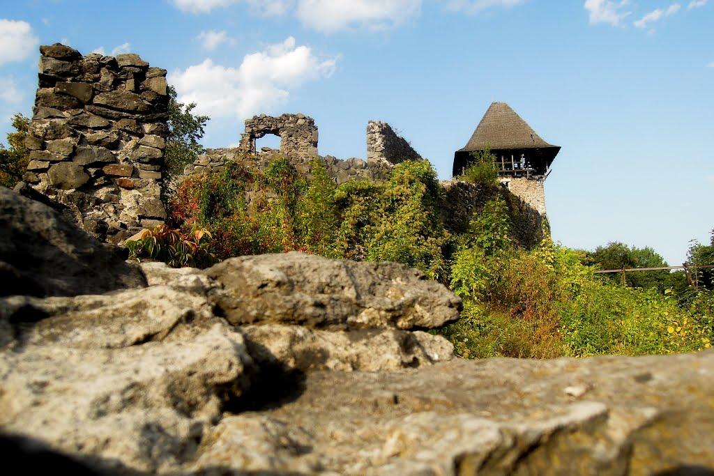 Кам'яниця з panoramio.com - Каменица