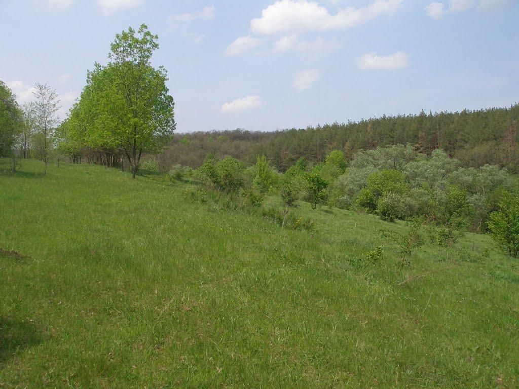 Зайцеве з panoramio.com - Зайцеве