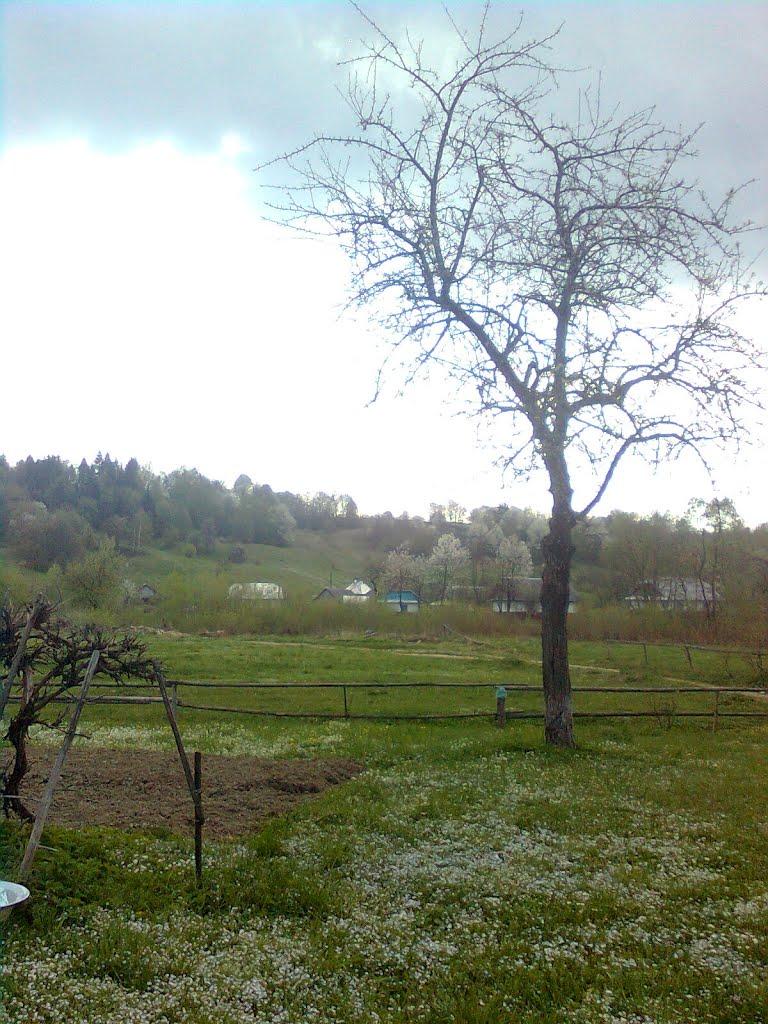 Грабівка з panoramio.com - Грабовка