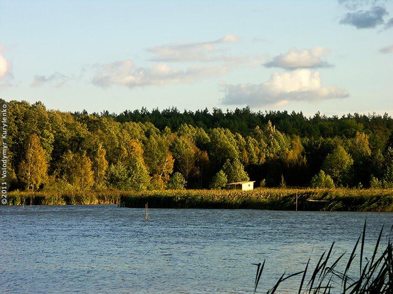 Реутинці з panoramio.com - Реутинці