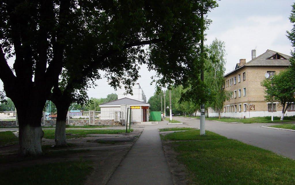 Узин з panoramio.com - Узин