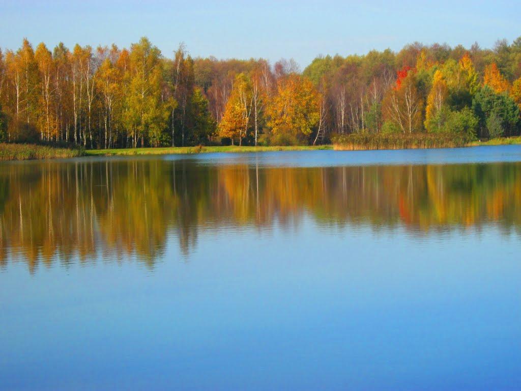 Гута-Камінська з panoramio.com - Guta-Kaminska