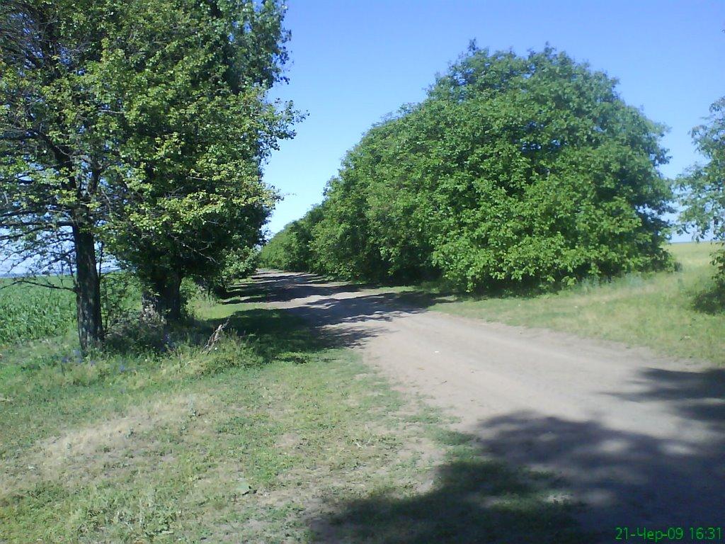 Леухи з panoramio.com - Леухи