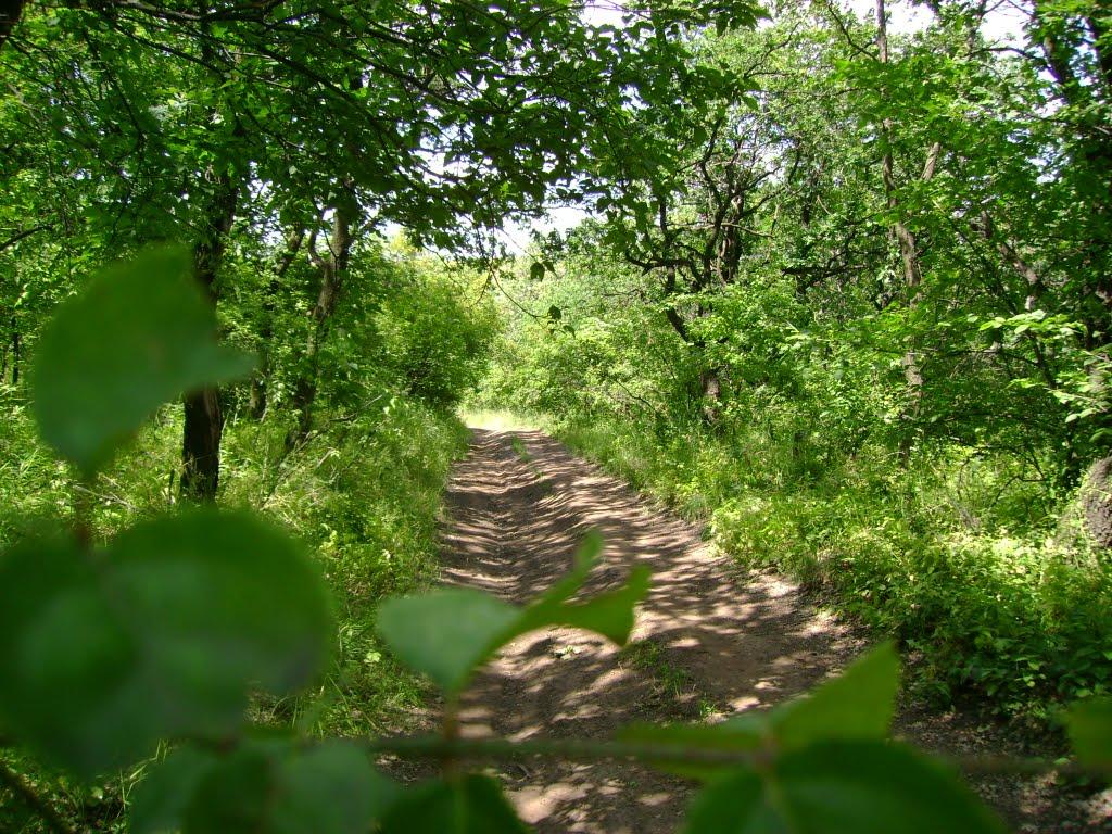 Малоіванівка з panoramio.com - Малоіванівка