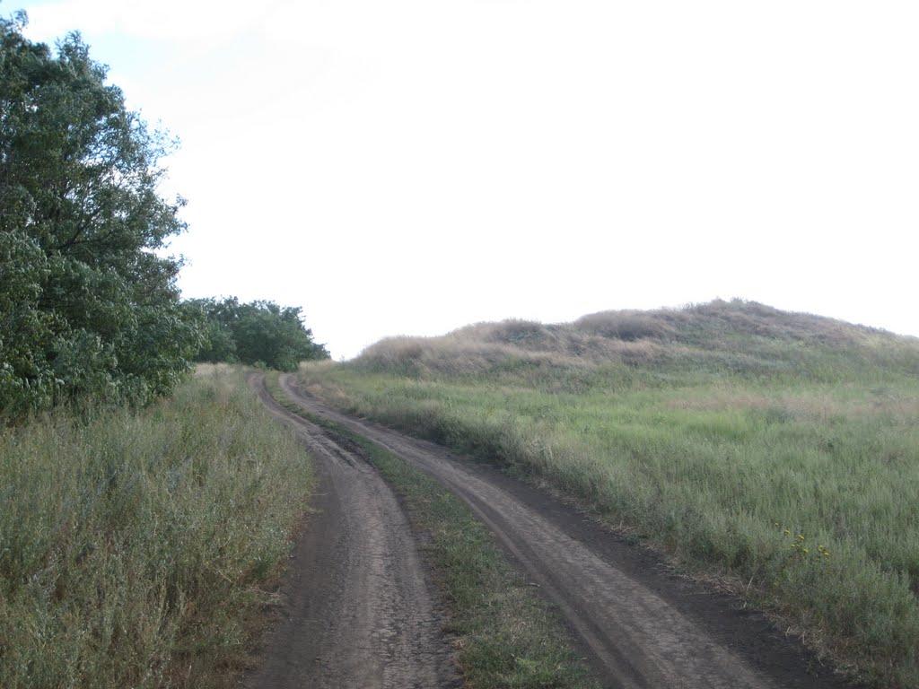 Інгулка з panoramio.com - Інгулка